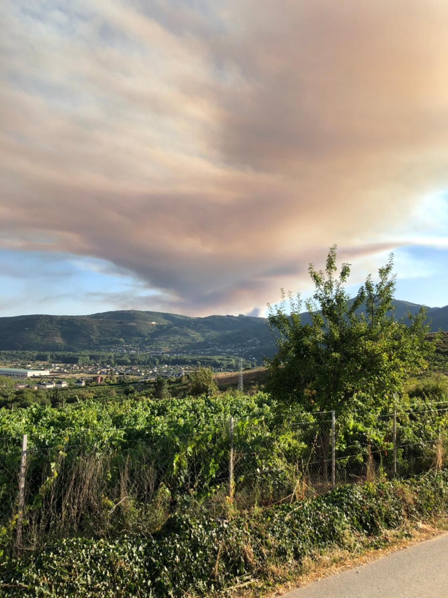 Boutique Finca Esencial Villafranca Del Bierzo Esterno foto