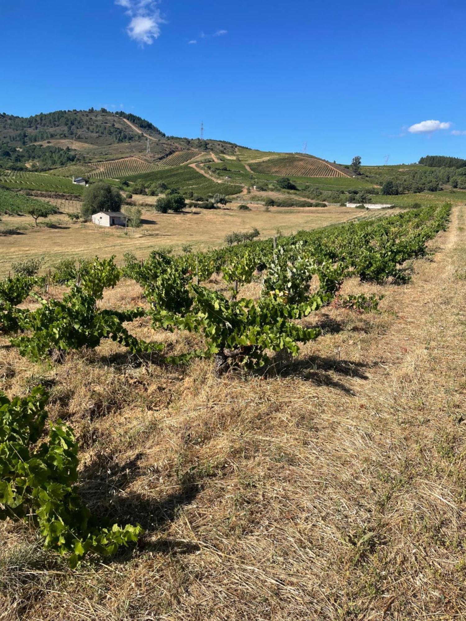 Boutique Finca Esencial Villafranca Del Bierzo Esterno foto