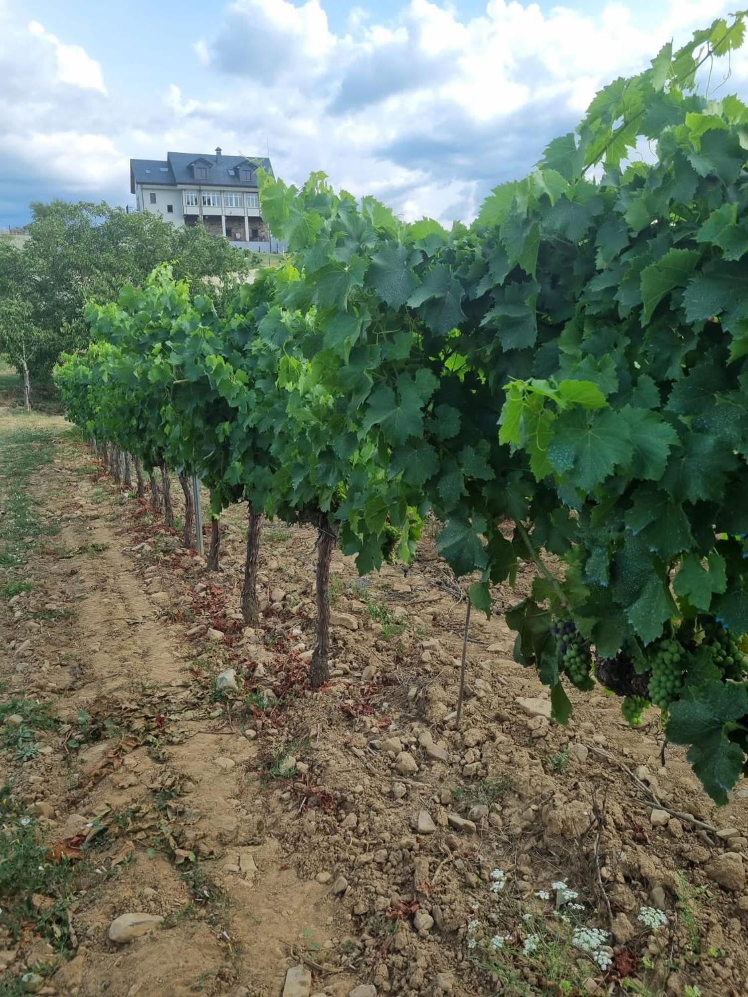 Boutique Finca Esencial Villafranca Del Bierzo Esterno foto
