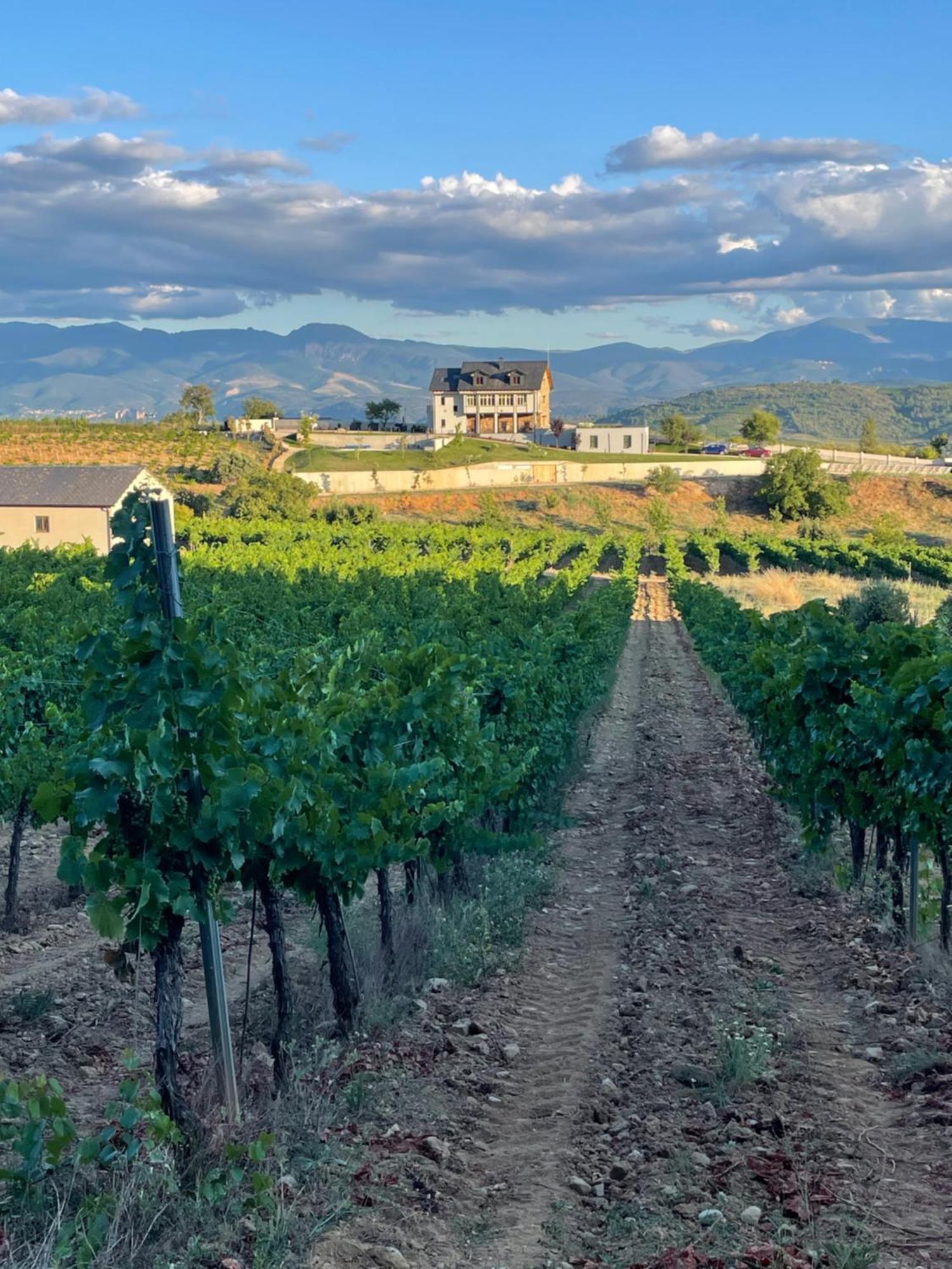 Boutique Finca Esencial Villafranca Del Bierzo Esterno foto